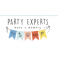 Party experts
