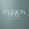 PythonBull Consultancy