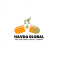 Havda Global logo