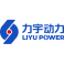 LIYU POWER INTERNATIONAL DMCC