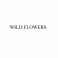 Wild Flower House Flowers LLC SP logo