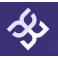 Total Wellness International logo