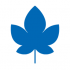 QC Life  logo