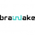 Brainlake Advertising LLC logo