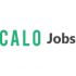 Calo Inc  logo