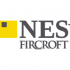 NES Global Talent  logo