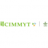 CIMMYT logo