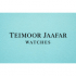 Teimoor Jaafar Watches  logo