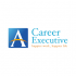 Career exe   logo