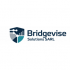 BridgeVise Solutions  logo
