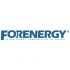 Forenergy Inspection & Consultation  logo
