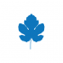 QC Life  logo
