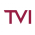 TVI Group  logo