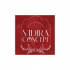 Vidira Concept  logo