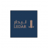 شركة ليدار لاستثمار logo