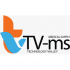 Technology Valley-medical supply (TV-ms) logo