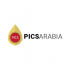 PICSAARABIA logo