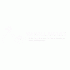 EMVITY BRUSHFLICKS CREATIVE HUB PRIVATE LIMITED logo