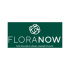 Floranow logo