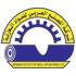 شركة المصنع العربي للمواد العازلة  logo