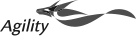 أجيليتي logo