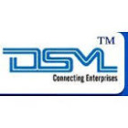 DSM Infocom Pvt Limited