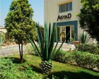 Agyad School