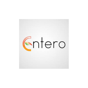 Entero Software Solutions