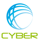 Cyber Technical Consulting