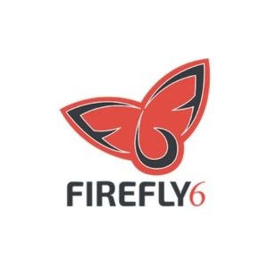 FireFly6 company