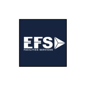 EFS  logo