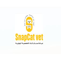 سناب كات   logo