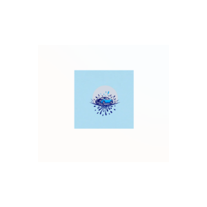 Prime Shine Car Washing   logo