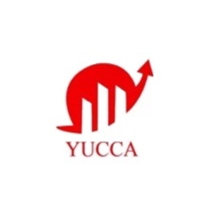 Yucca modern trading company