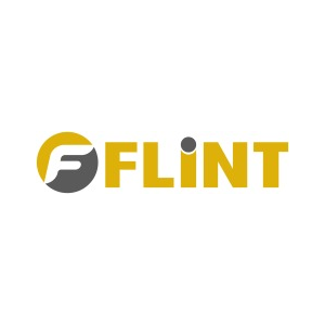 Flint Consulting Ltd