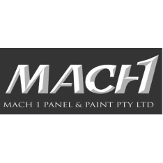 Mach 1 panel and paint  logo