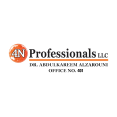 4N PROFESSIONALS LLC  logo