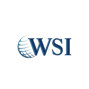 WSI Internet Consulting