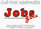 Jobs Guru The Placement Consultants