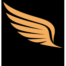 SWIFT WING SHIPPING L.L.C  logo