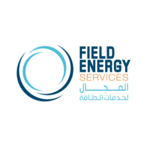 Field Energy