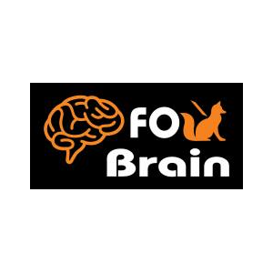 FOX BRAINS CONSULTANCY