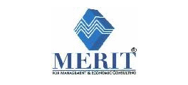 Merit Consulting