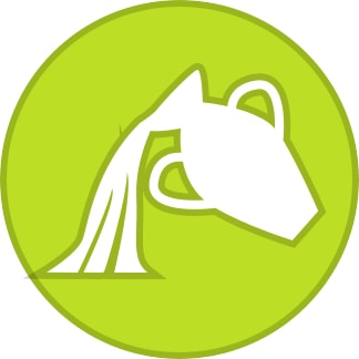 Aquarius (January 20 - February 18)