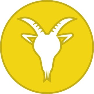 Capricorn (December 22 - January 19)