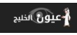 What are the dietary and health habits of professionals in the Middle East?