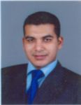 Tamer Saad Eldin, IT Project Manager
