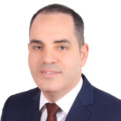 يوسف احمد يوسف, Consultants