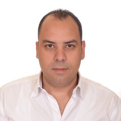 Ala'a Naser, Professional Services Consultant