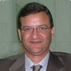Mahmoud Shehata, Project Manager